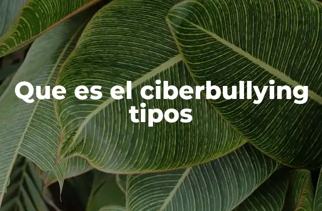 Que es el Ciberbullying Tipos