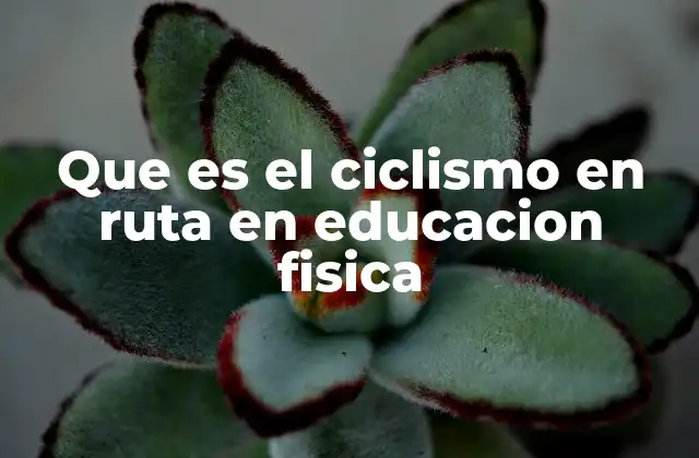 Que es el Ciclismo en Ruta en Educacion Fisica