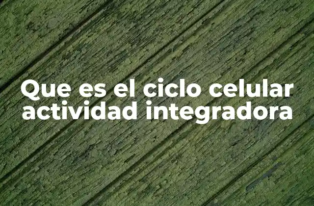 La importancia del ciclo celular en la formación científica