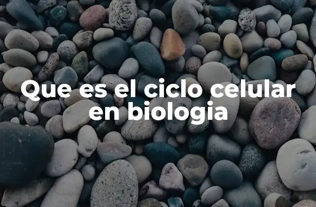 Que es el Ciclo Celular en Biologia