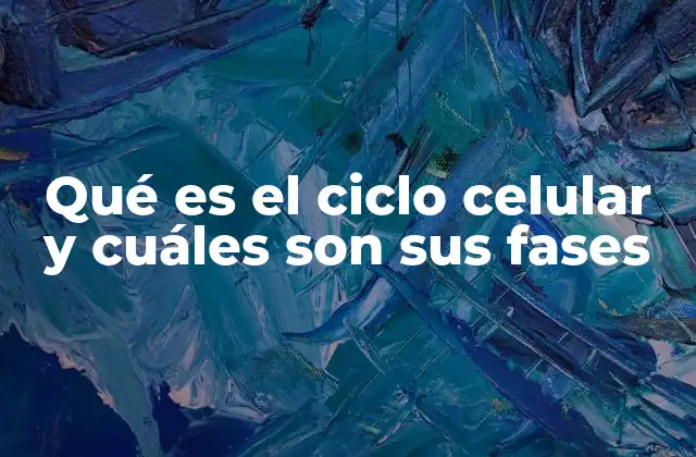 Qué es el Ciclo Celular y Cuáles Son Sus Fases