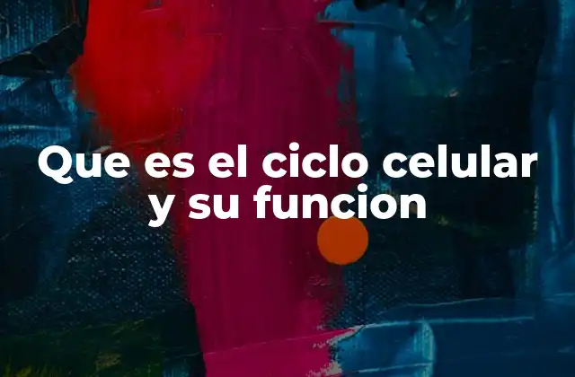 Que es el Ciclo Celular y Su Funcion