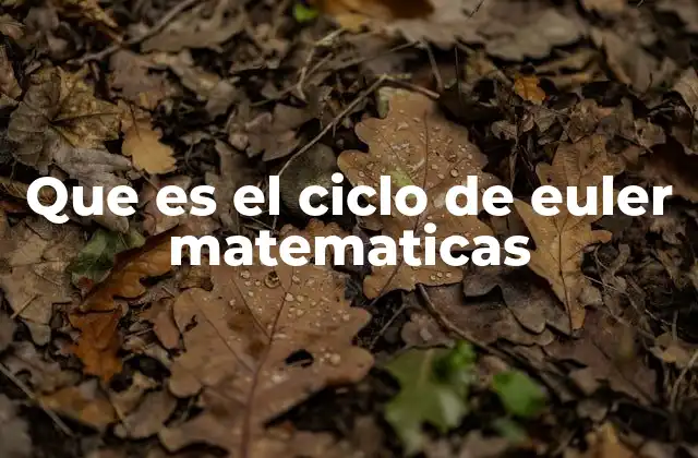 Que es el Ciclo de Euler Matematicas