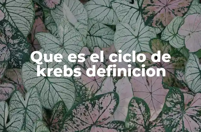 Que es el Ciclo de Krebs Definicion