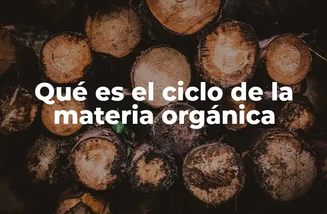 Qué es el Ciclo de la Materia Orgánica
