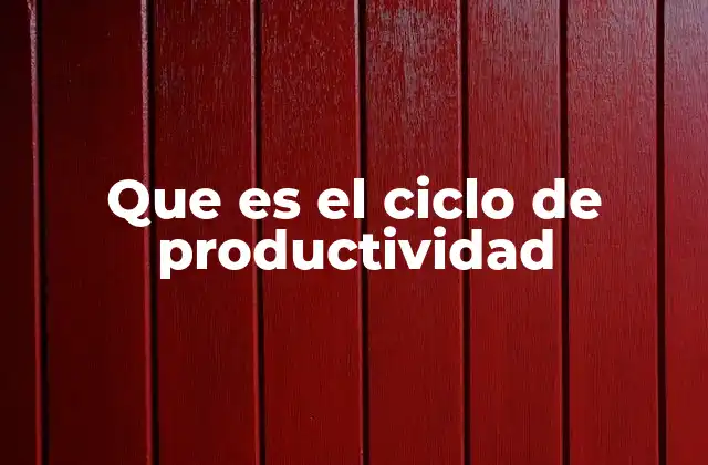 Que es el Ciclo de Productividad