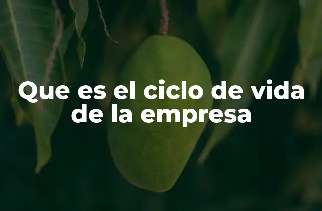 Que es el Ciclo de Vida de la Empresa