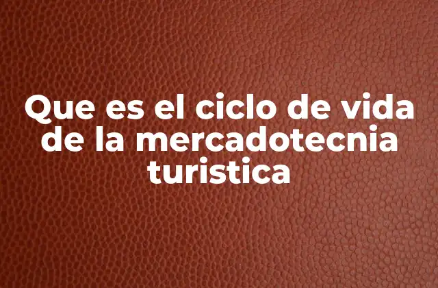 Que es el Ciclo de Vida de la Mercadotecnia Turistica
