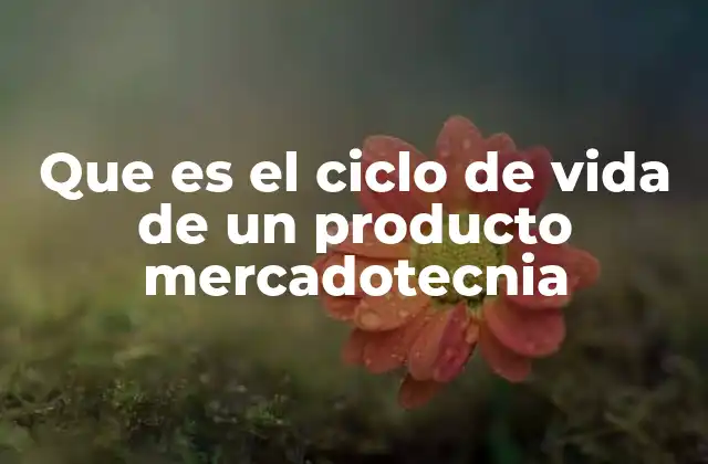 Que es el Ciclo de Vida de un Producto Mercadotecnia