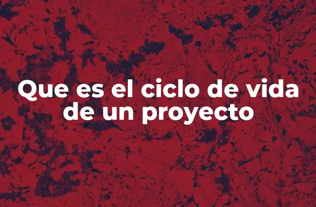 Que es el Ciclo de Vida de un Proyecto