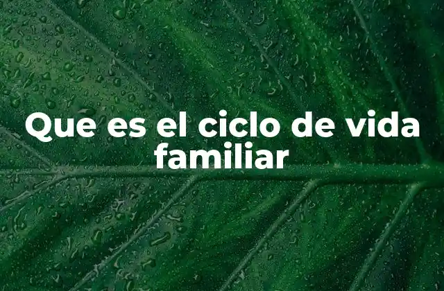 Que es el Ciclo de Vida Familiar