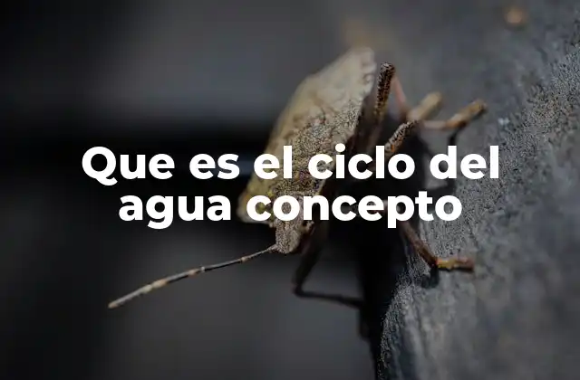 Que es el Ciclo Del Agua Concepto