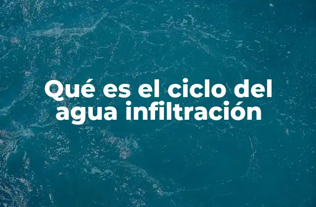 Qué es el Ciclo Del Agua Infiltración