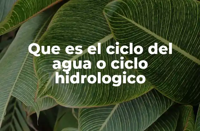 Que es el Ciclo Del Agua o Ciclo Hidrologico