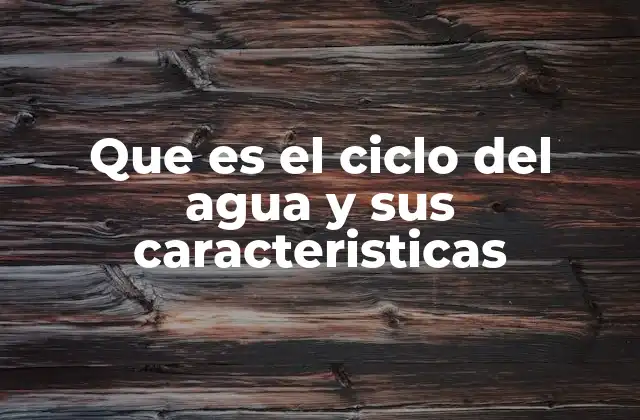 Que es el Ciclo Del Agua y Sus Caracteristicas 2 El papel del ciclo del agua en los ecosistemas terrestres