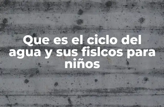 Cómo el ciclo del agua afecta la naturaleza y la vida diaria