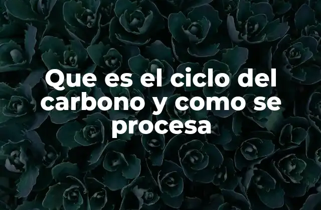 El intercambio de carbono entre los distintos ecosistemas