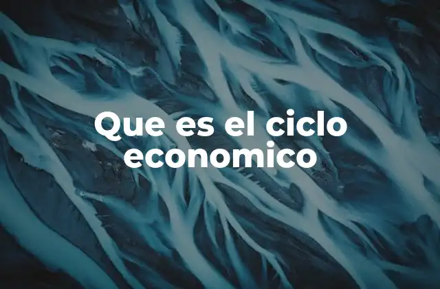 Que es el Ciclo Economico