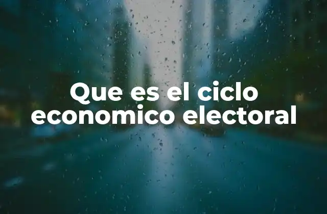 El vínculo entre economía y política en los períodos electorales