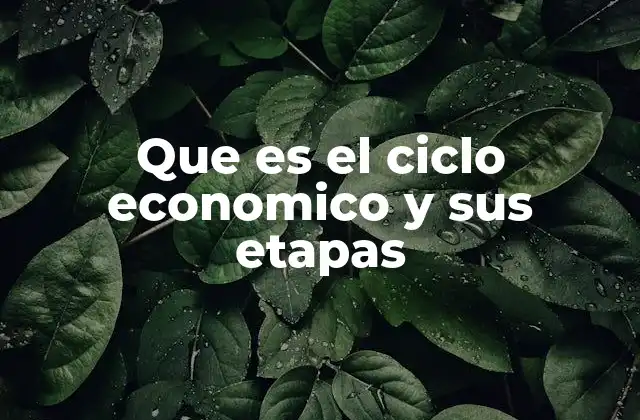 Que es el Ciclo Economico y Sus Etapas