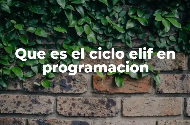Que es el Ciclo Elif en Programacion