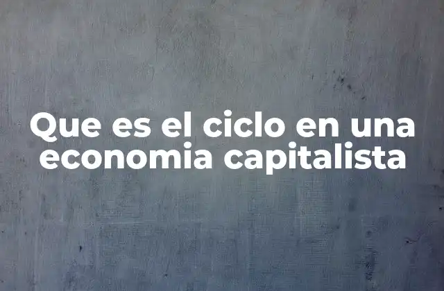 Que es el Ciclo en una Economia Capitalista