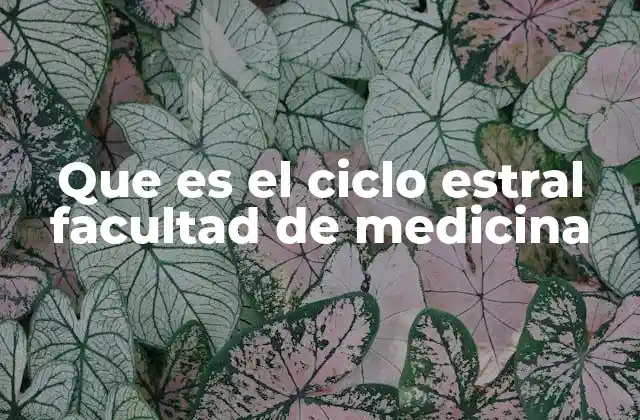 Que es el Ciclo Estral Facultad de Medicina