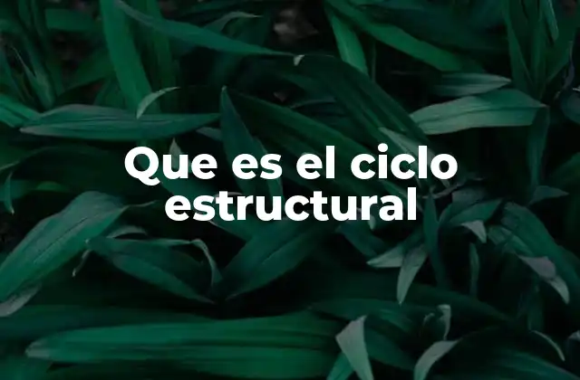 Que es el Ciclo Estructural