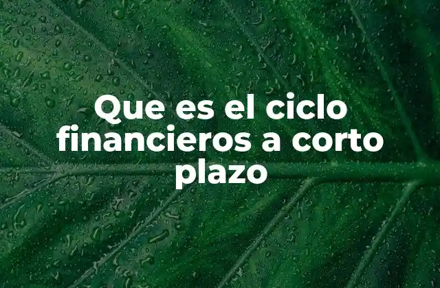 El flujo de efectivo y su relación con el ciclo financiero