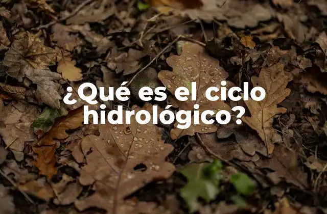 ¿qué es el Ciclo Hidrológico?