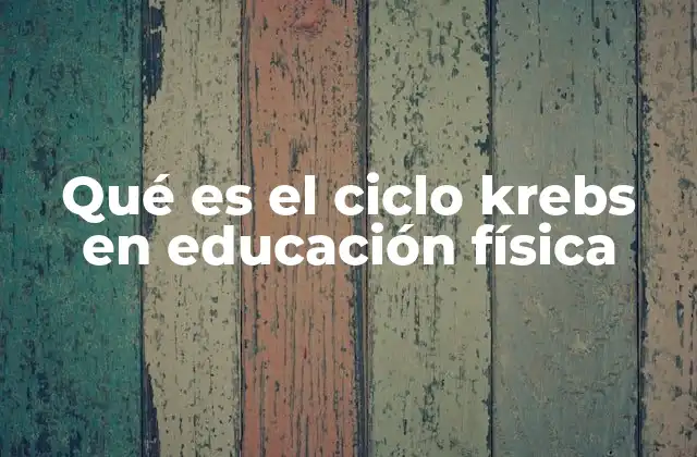 Qué es el Ciclo Krebs en Educación Física