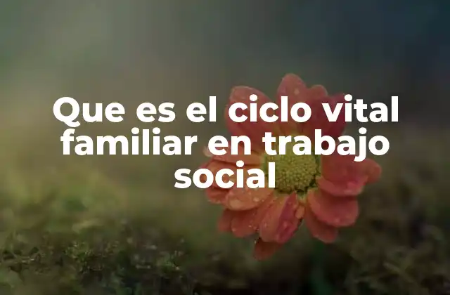 Que es el Ciclo Vital Familiar en Trabajo Social