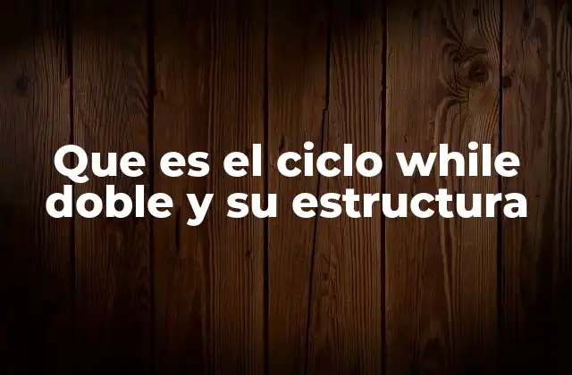 Que es el Ciclo While Doble y Su Estructura