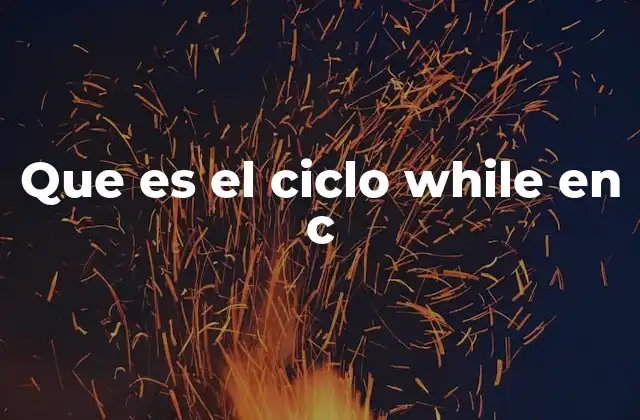 Que es el Ciclo While en C