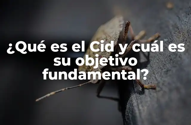 ¿qué es el Cid y Cuál es Su Objetivo Fundamental?