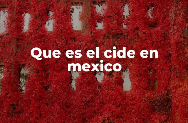 Que es el Cide en Mexico