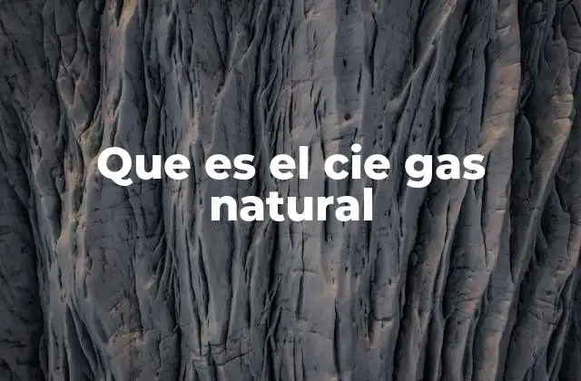 Que es el Cie Gas Natural