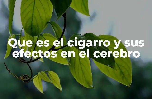 Que es el Cigarro y Sus Efectos en el Cerebro