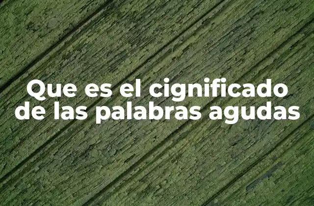 Importancia de la acentuación en las palabras agudas