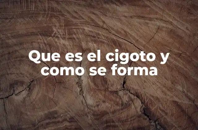 Que es el Cigoto y como Se Forma