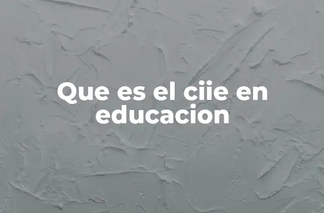 Que es el Ciie en Educacion