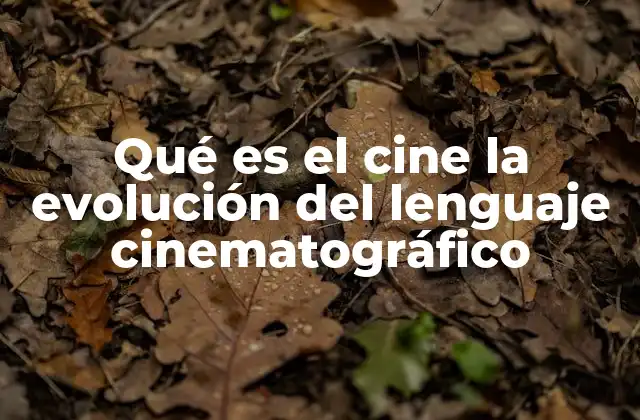 Qué es el Cine la Evolución Del Lenguaje Cinematográfico