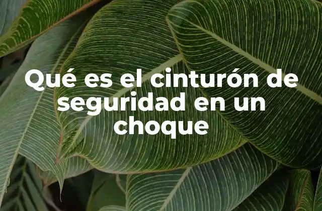 Qué es el Cinturón de Seguridad en un Choque 2 Cómo el cinturón de seguridad protege durante un choque