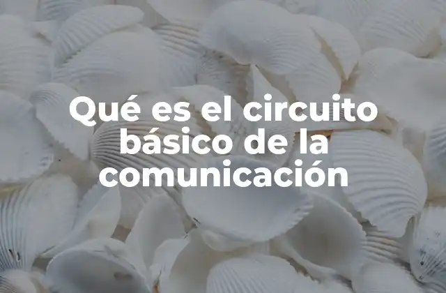 Qué es el Circuito Básico de la Comunicación 2 El flujo de información en la interacción humana