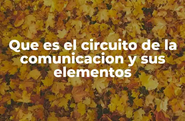 Que es el Circuito de la Comunicacion y Sus Elementos