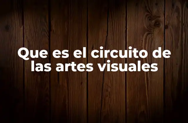 Que es el Circuito de las Artes Visuales