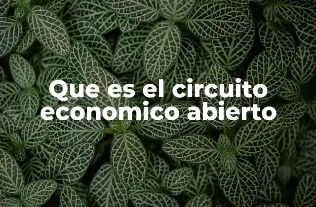 Que es el Circuito Economico Abierto