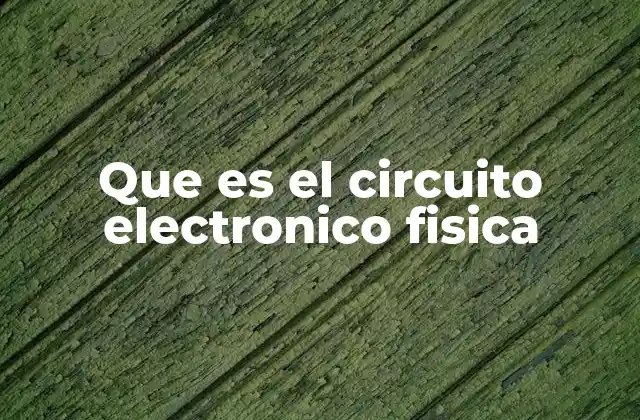 Que es el Circuito Electronico Fisica