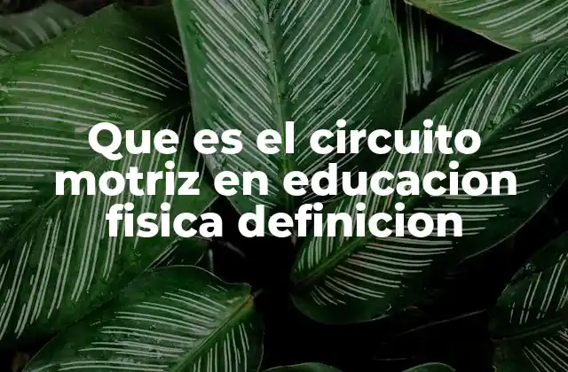Que es el Circuito Motriz en Educacion Fisica Definicion