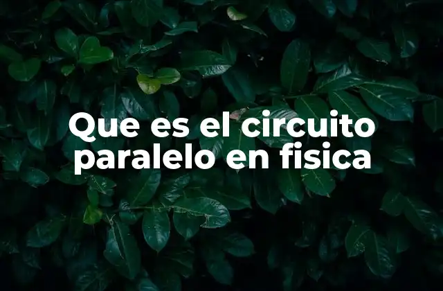 Que es el Circuito Paralelo en Fisica